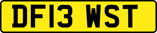 DF13WST