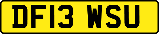 DF13WSU