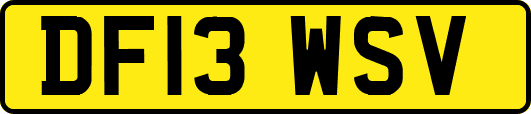 DF13WSV