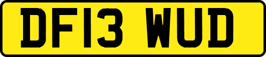 DF13WUD