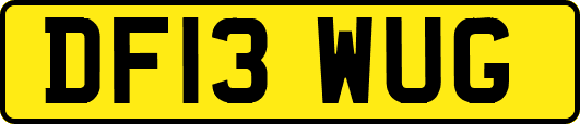 DF13WUG