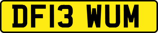 DF13WUM