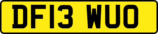 DF13WUO