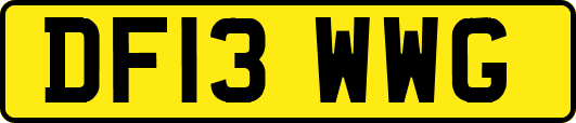 DF13WWG
