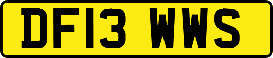DF13WWS