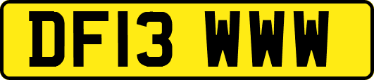 DF13WWW