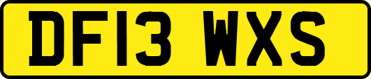 DF13WXS