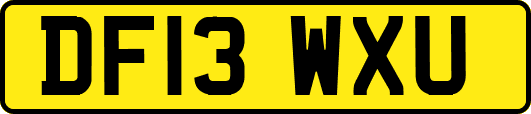 DF13WXU