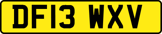 DF13WXV