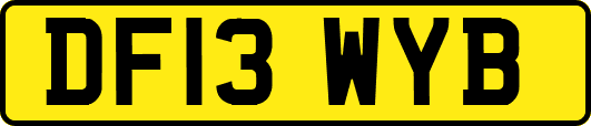 DF13WYB