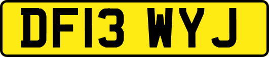 DF13WYJ