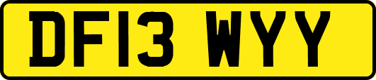 DF13WYY