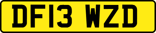 DF13WZD