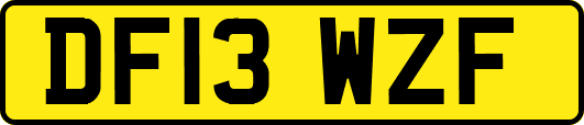 DF13WZF
