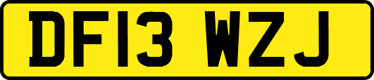 DF13WZJ