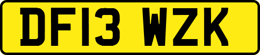 DF13WZK