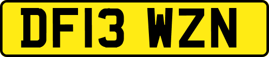 DF13WZN