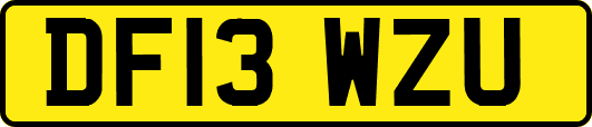 DF13WZU