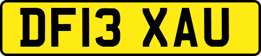 DF13XAU