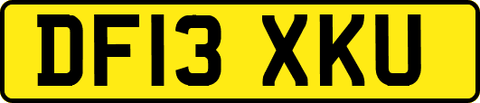 DF13XKU
