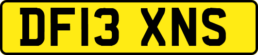 DF13XNS