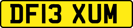 DF13XUM