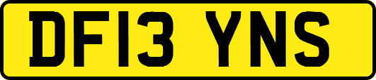 DF13YNS