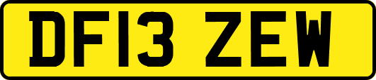 DF13ZEW