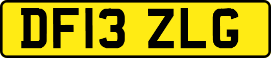 DF13ZLG