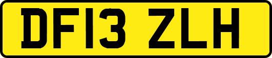 DF13ZLH