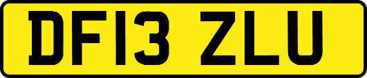 DF13ZLU