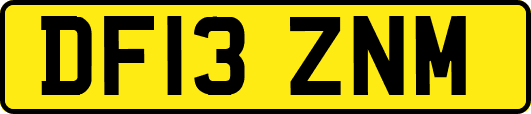 DF13ZNM