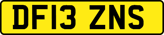 DF13ZNS
