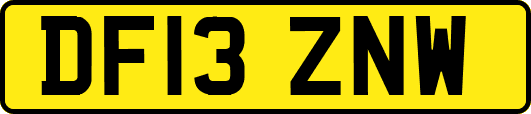 DF13ZNW