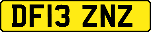 DF13ZNZ