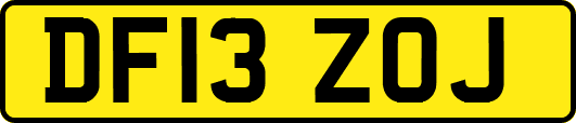 DF13ZOJ