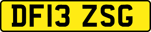 DF13ZSG