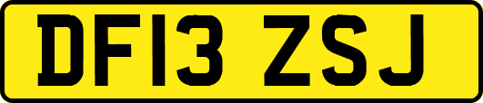 DF13ZSJ