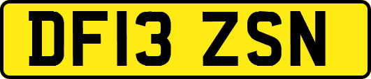 DF13ZSN