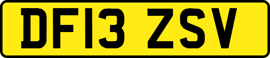 DF13ZSV