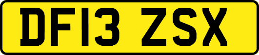 DF13ZSX