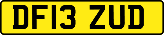 DF13ZUD