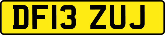 DF13ZUJ