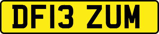 DF13ZUM