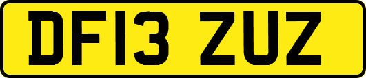 DF13ZUZ