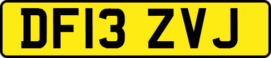 DF13ZVJ