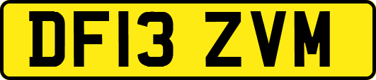 DF13ZVM