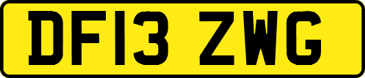 DF13ZWG