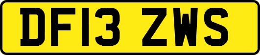 DF13ZWS