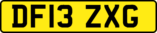 DF13ZXG